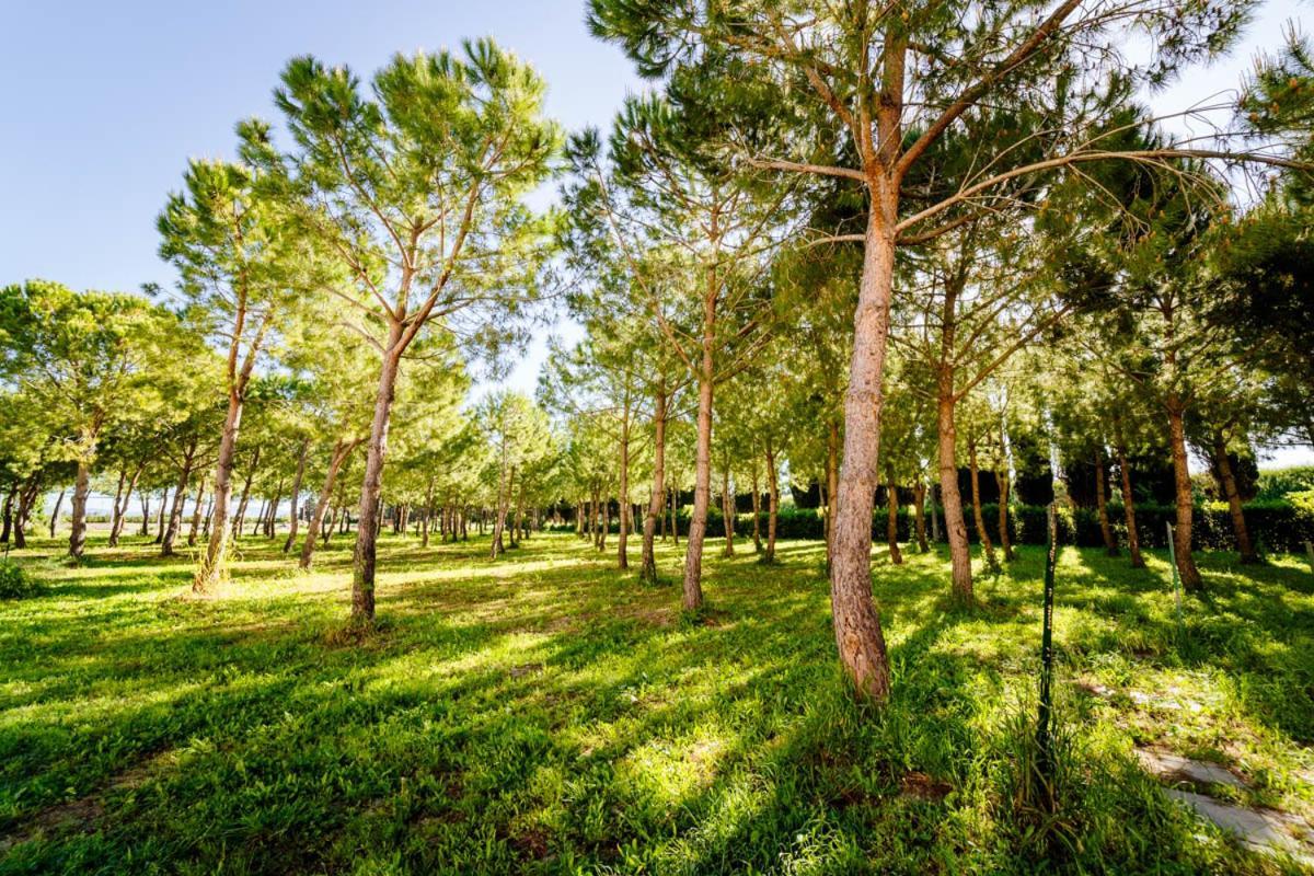Agriturismo Bio San Mamiliano Grosseto Buitenkant foto